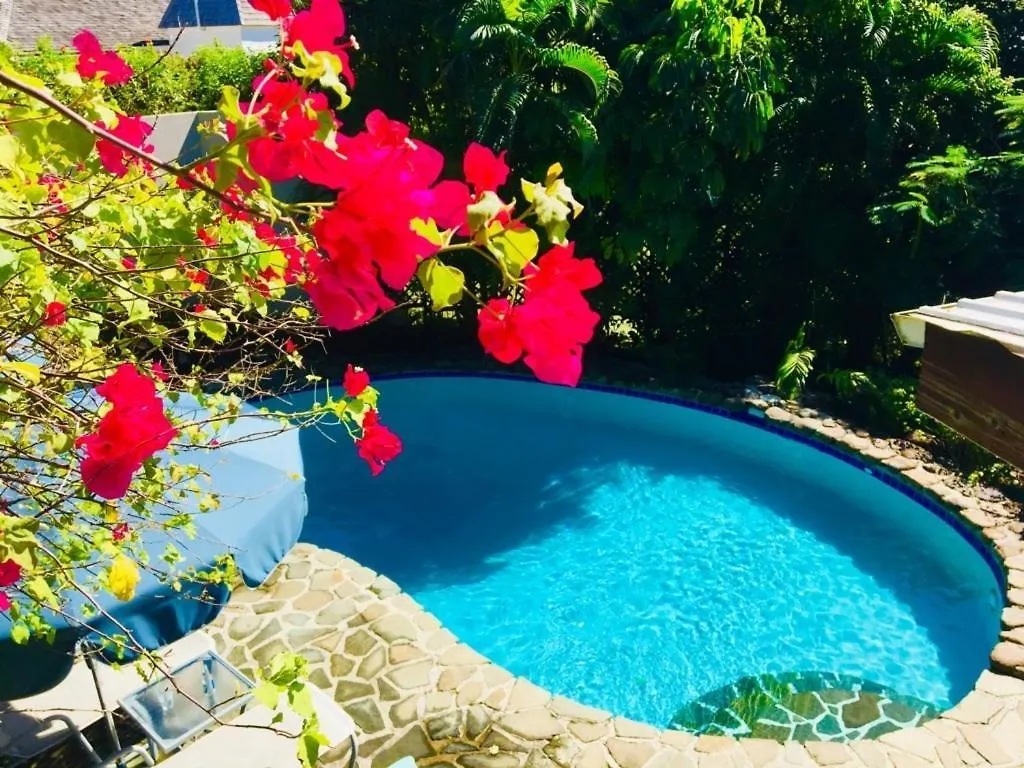 Hummingbird Villa - Tropical 3 Bedroom Villa With Panoramic Views Home Cap Estate セントルシア